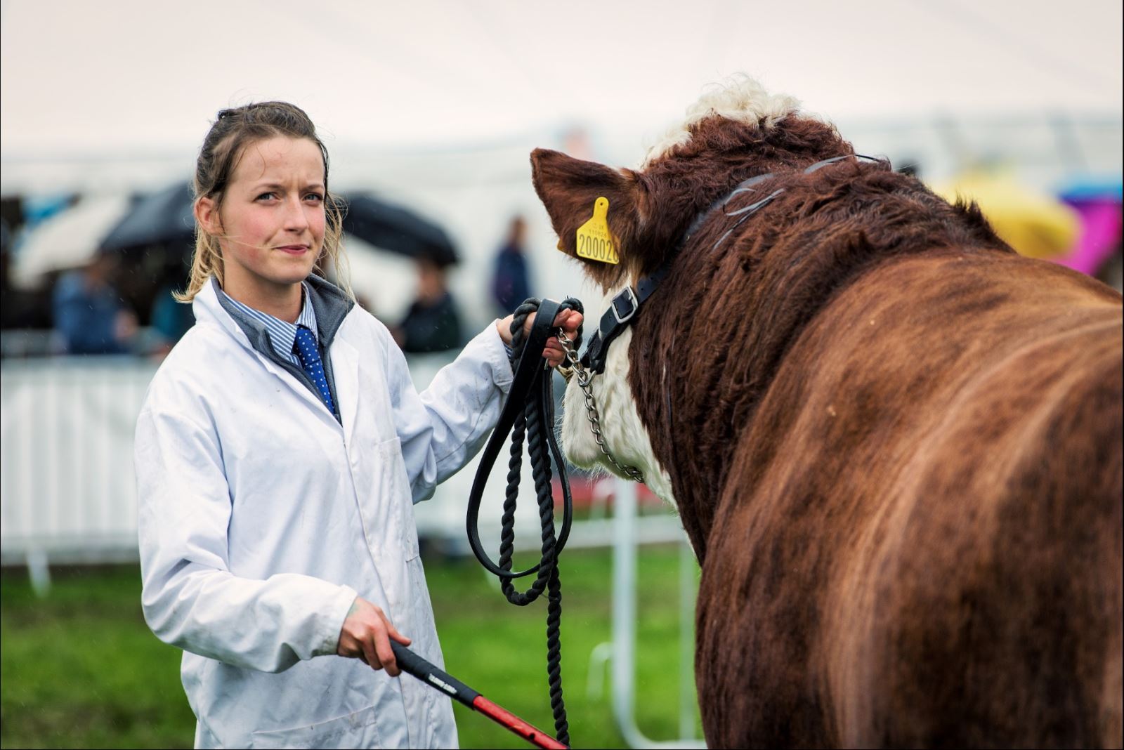 Bath & West Show